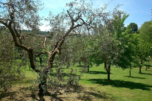 Hotel Agriturismo Borgodoro